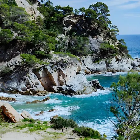 Petit Gran Paradis Cala Llevado *